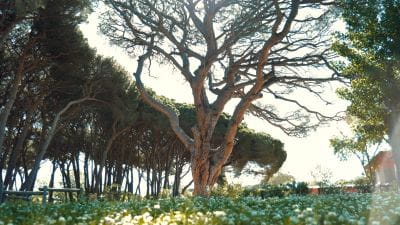 Beeld Camping**** Saint Aygulf Plage opent haar deuren op zaterdag 5 april