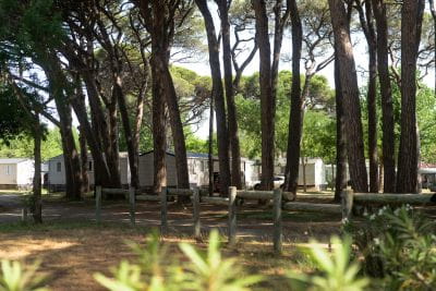 Beeld Waarom buiten het seizoen op vakantie gaan naar Camping Saint-Aygulf?