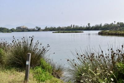 Beeld Gelukkig nieuwjaar 2026 op Camping Saint-Aygulf Plage: klaar voor een nieuw seizoen met de voeten in het zand