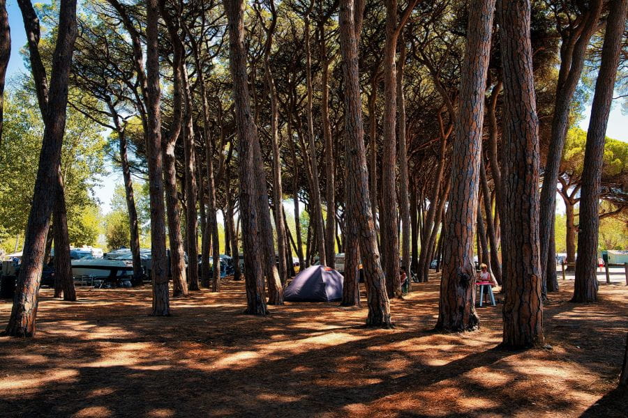 De beste plaatsen zijn snel weg