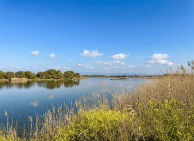 Beeld Maart in Saint-Aygulf: de lente staat voor de deur
