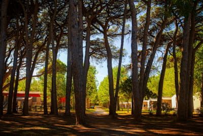 Beeld SEPTEMBER OP CAMPING SAINT-AYGULF PLAGE: DE ZOMER GAAT DOOR, MAAR DAN EENS ANDERS